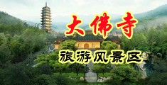 骚逼空姐中国浙江-新昌大佛寺旅游风景区
